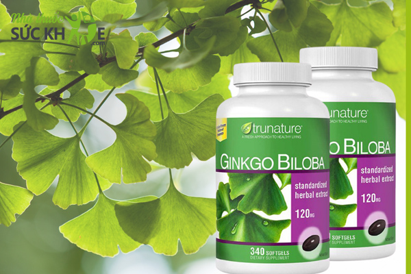 Thành phần viên uống Ginkgo biloba