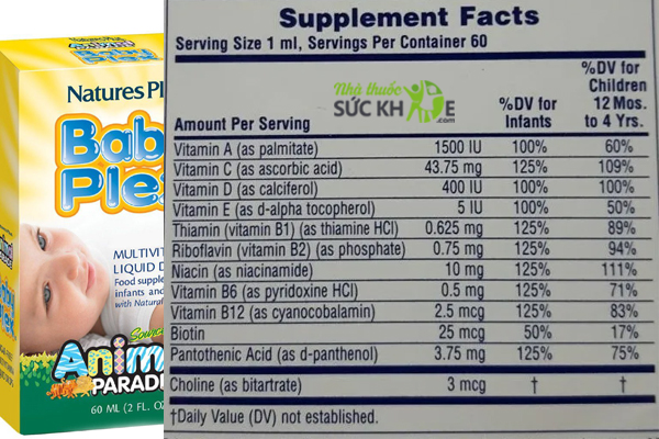 Thành phần Vitamin Baby Plex