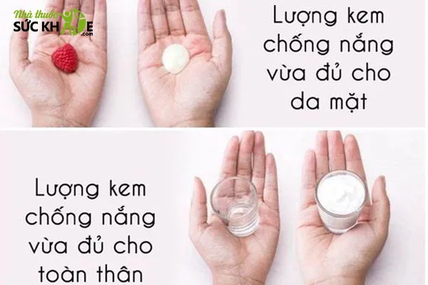 Lượng kem chống nắng vừa đủ