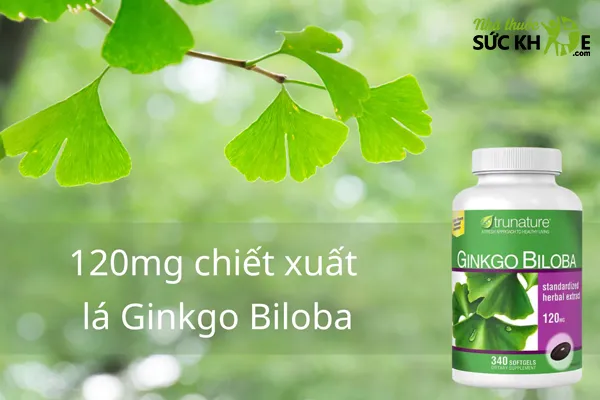 Thuốc bổ não cho học sinh cấp 2 Trunature Ginkgo Biloba