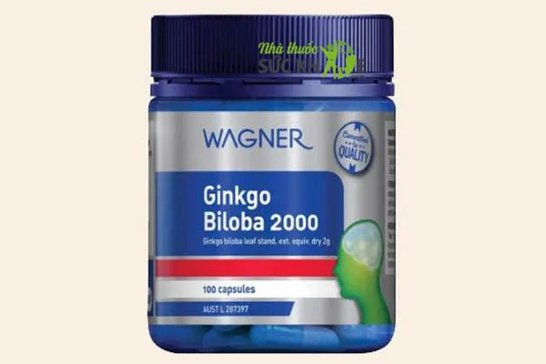 Thuốc bổ não Wagner Ginkgo Biloba 2000